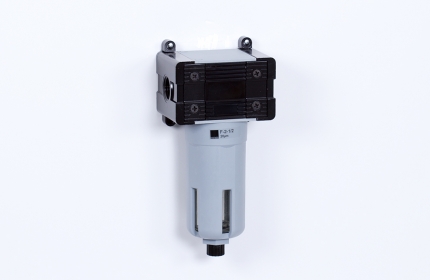 Filter - 15 bar - 20 micron (A-2)